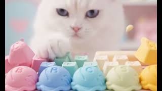 고양이의 레인보우 아이스크림 키보드 타이핑 🍦🌈 |Cat Types on a Rainbow Ice Cream Keyboard | Sweet Typing ASMR screenshot 3