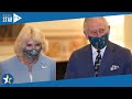 Charles III et Camilla : leur prétendu fils caché tend une énorme perche au prince Harry