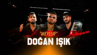 Doğan Işik - Weylur