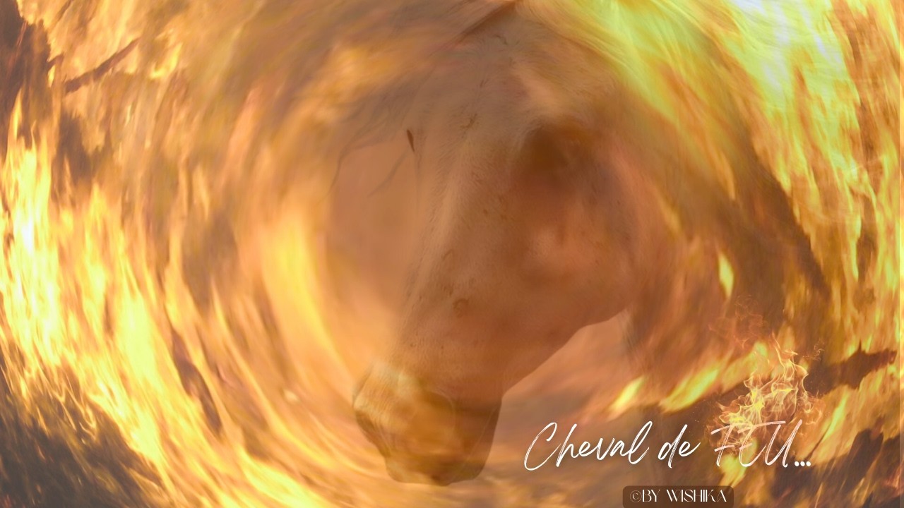 Cheval de FEU 🔥🔥🔥