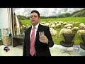 Transmissão ao vivo de Impd Tocantins