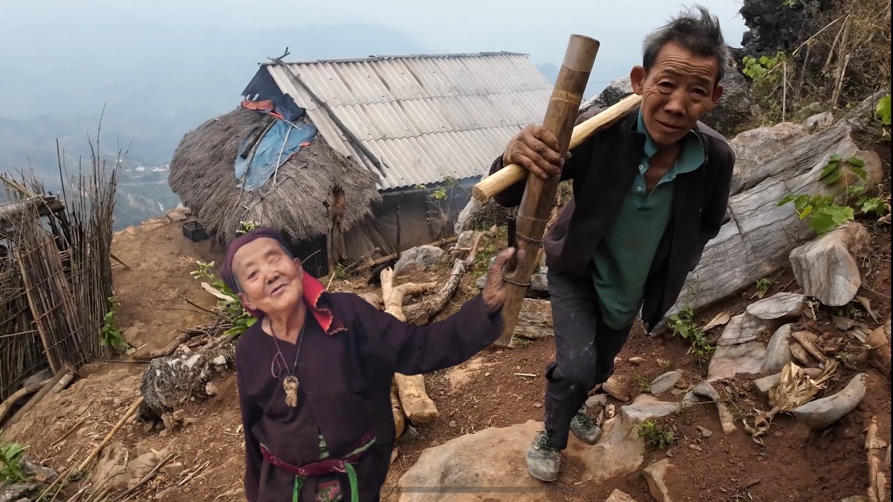 Ciaj Tuag Los Nyob Zov Yug Daim Teb Thiaj Yog Yug Li Hmoob Nyab Laj