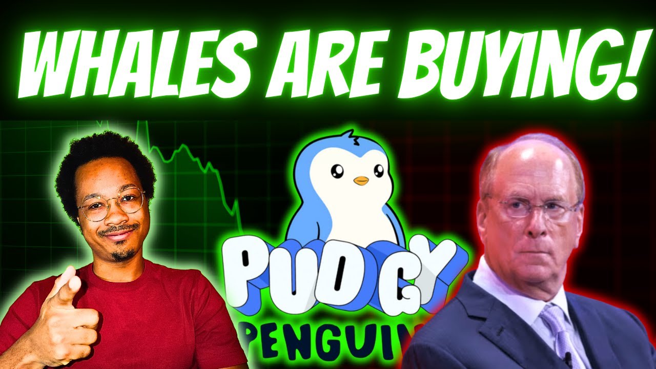Are Institutional Investors BUYING Pudgy Penguins $PENGU?