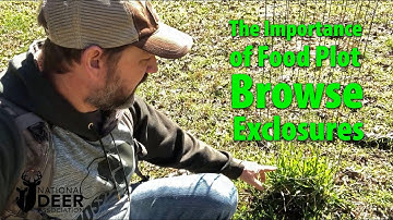 The Importance of Food Plot Browse Exclosures