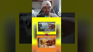 Just Give Me Normal Toliet Paper  shorts