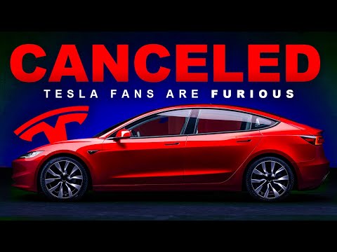 Tesla CANCELS New Model 3 Features + NEW Model Y LEAKS! | Owners are FURIOUS!