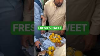 Big Size Mango 🥭 | Fresh Sweet Mangoes | Pakistan Fruit Market