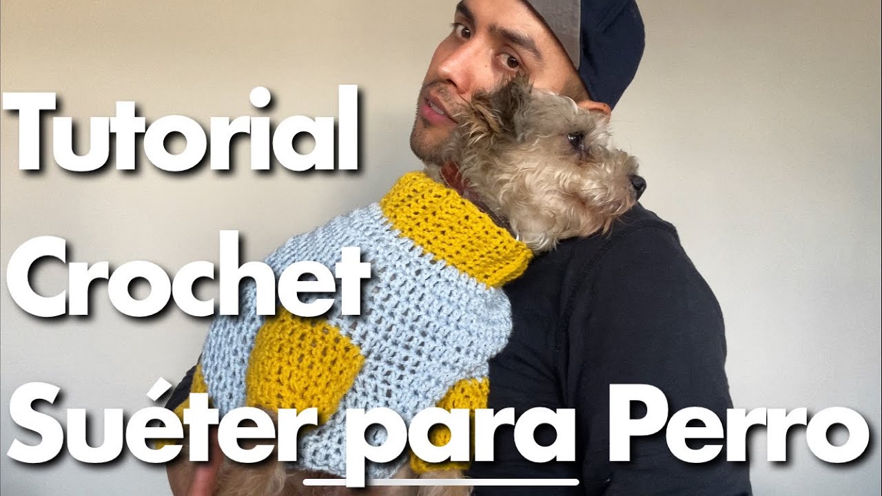 TUTORIAL de CROCHET super facil! SUETER PARA PERRO en español!