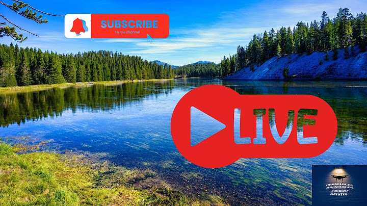 Zvuk Potoka Sasvim Prirodno Live