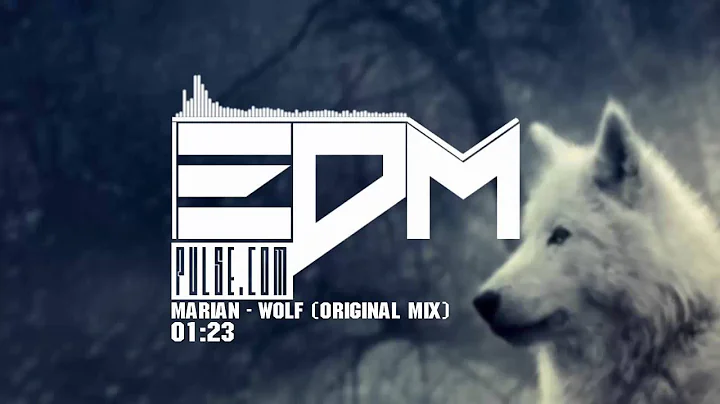 Marian - Wolf (Original Mix)