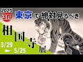 相国寺展がヤバい!! 伊藤若冲・円山応挙・俵屋宗達・狩野探幽・雪舟…名宝集結 @ 東京芸術大学美術館