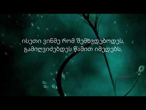 \" ისეთი ვინმე რომ შემხვდებოდეს\" -  ვიდეოს ავტორი: ა.ჯაყელი