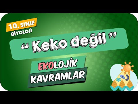 Ekolojik Kavramlar | 10.Sınıf Biyoloji #2024