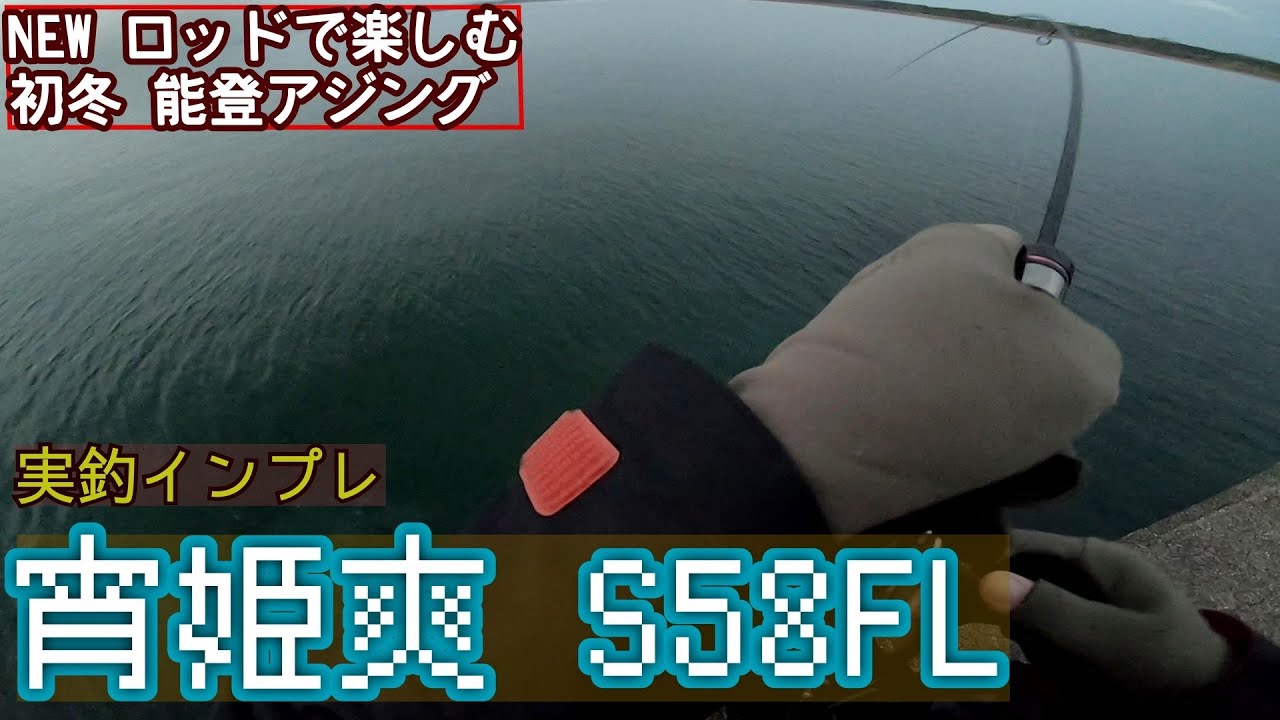 アジング】NEWロッドで初冬アジングをまったり楽しむ…編【宵姫爽58FL 