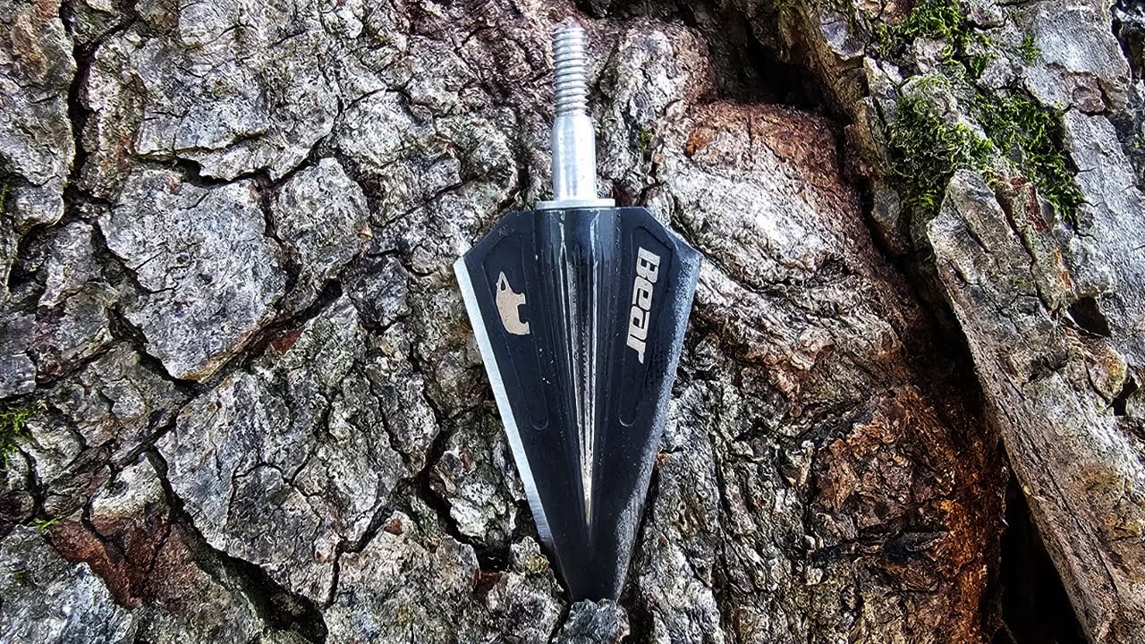 Bear Razorhead Broadhead Review YouTube