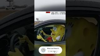 Police Pull Over Spongebob What Happens Next Shocks Everyone