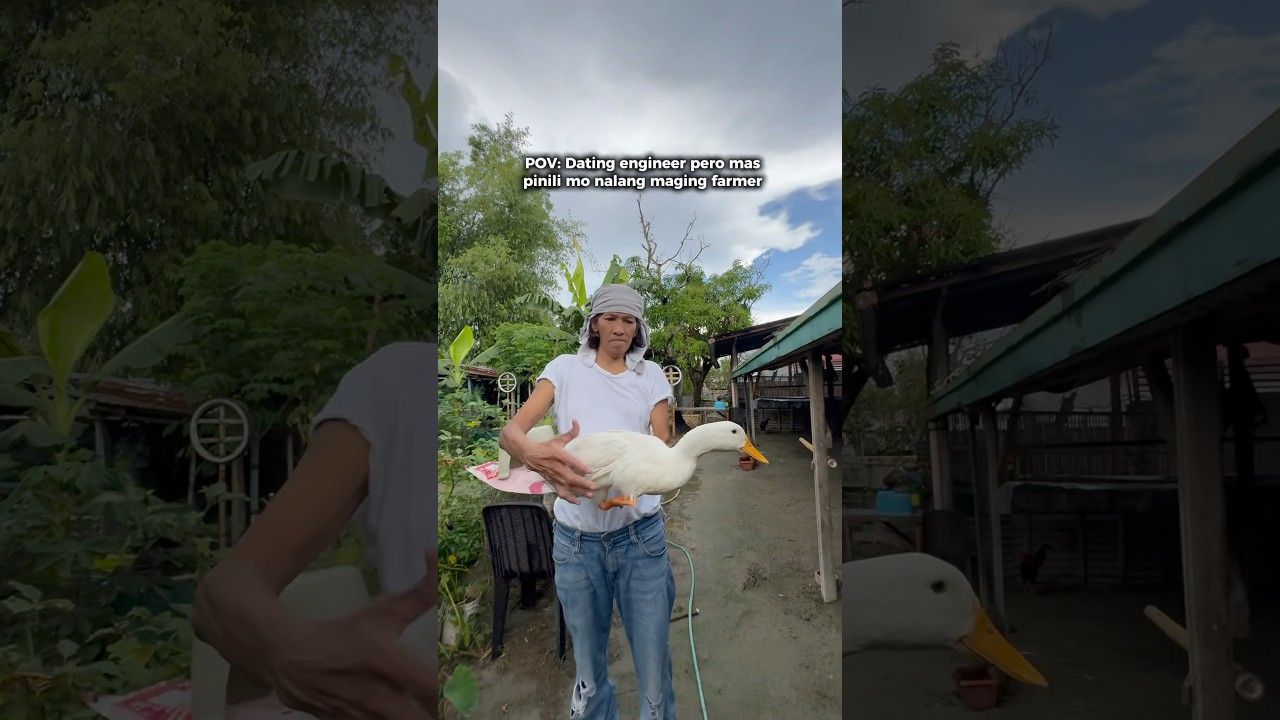 Farm life dream life 