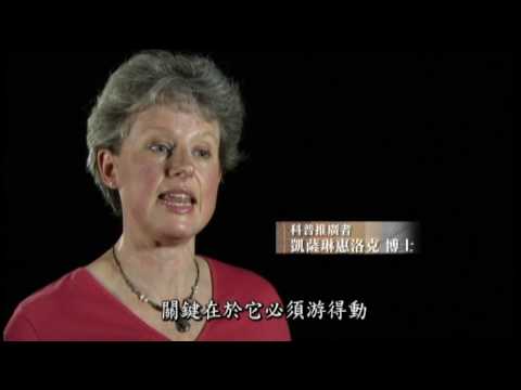 BBC你一定要知道的科學1