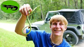 Cruising for INCREDIBLE Snakes!