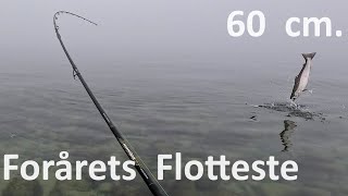 Forårets flotteste sølvblanke