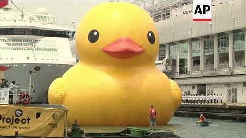 Giant yellow rubber duck enters Victoria Harbour, bringing message of harmony