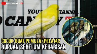 HARGA PELAJAR/OBRAL BURUAN SEBELUM KEHABISAN‼️