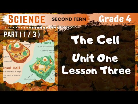 Science | Grade 4 | Unit 1 Lesson 3 - Part 1 - The Cell - YouTube