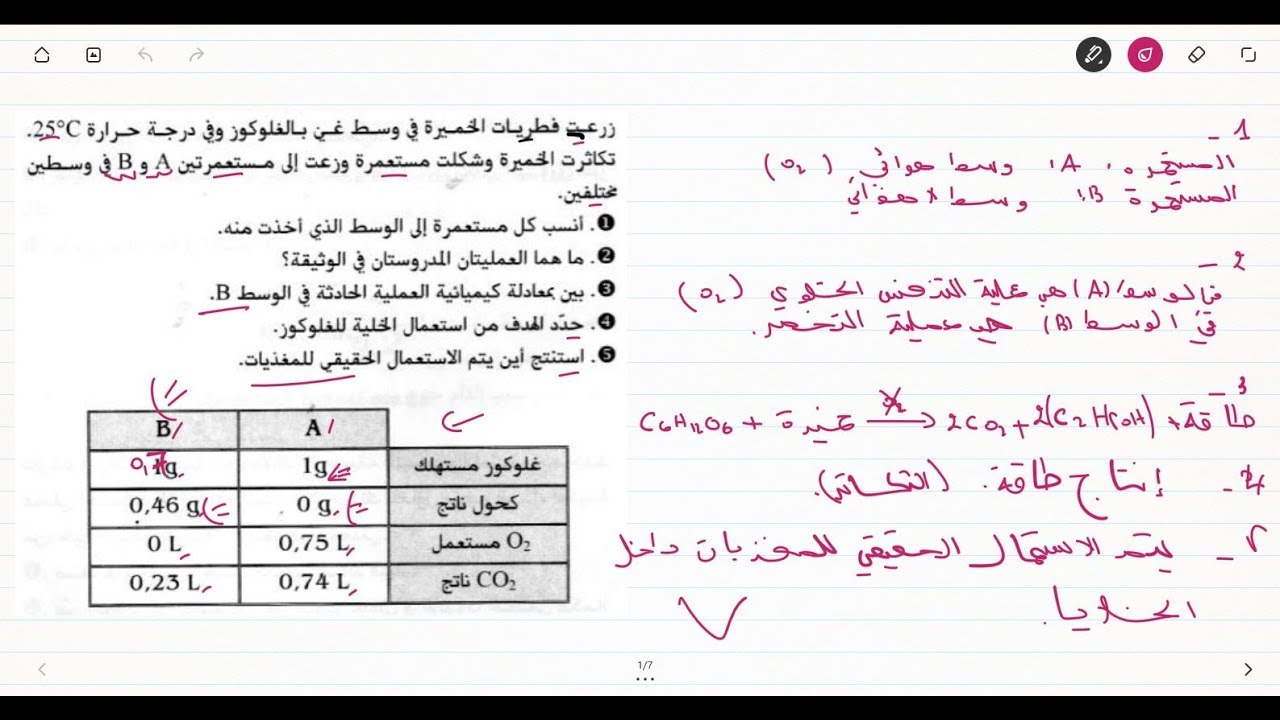 علوم طبيعية للسنة الرابعة متوسط تمرين على انتاج الطاقة عند الخميرة Youtube