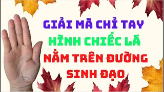 Giải Mã Chỉ Tay Hình Chiếc Lá Nằm Trên Đường Sinh Đạo. screenshot 4