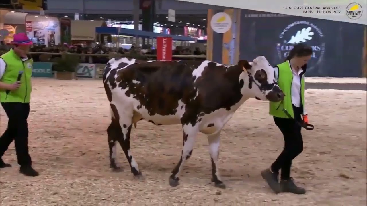 TNLA 2019 Présentation Le Neubourg