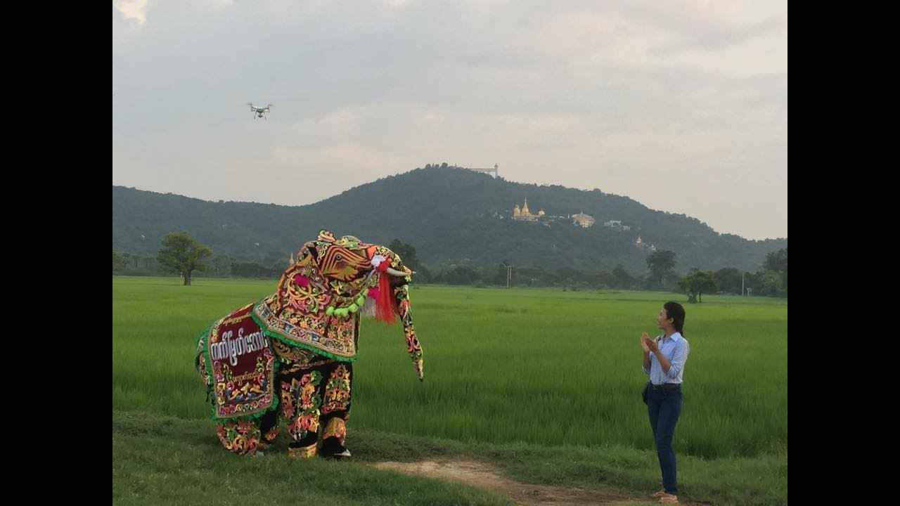 TASTY TRIP _ ဆင်ကကသူများ