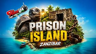 Zanzibar’s Prison Island: Giant Tortoises, Ancient Ruins & a Hidden Dark Past