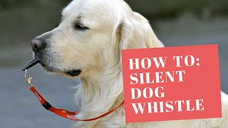 How to use Silent Dog Whistle!