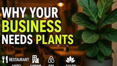 The Secret Weapon Every Smart Business Uses: Not What You Think! #DH Garden Centre #small