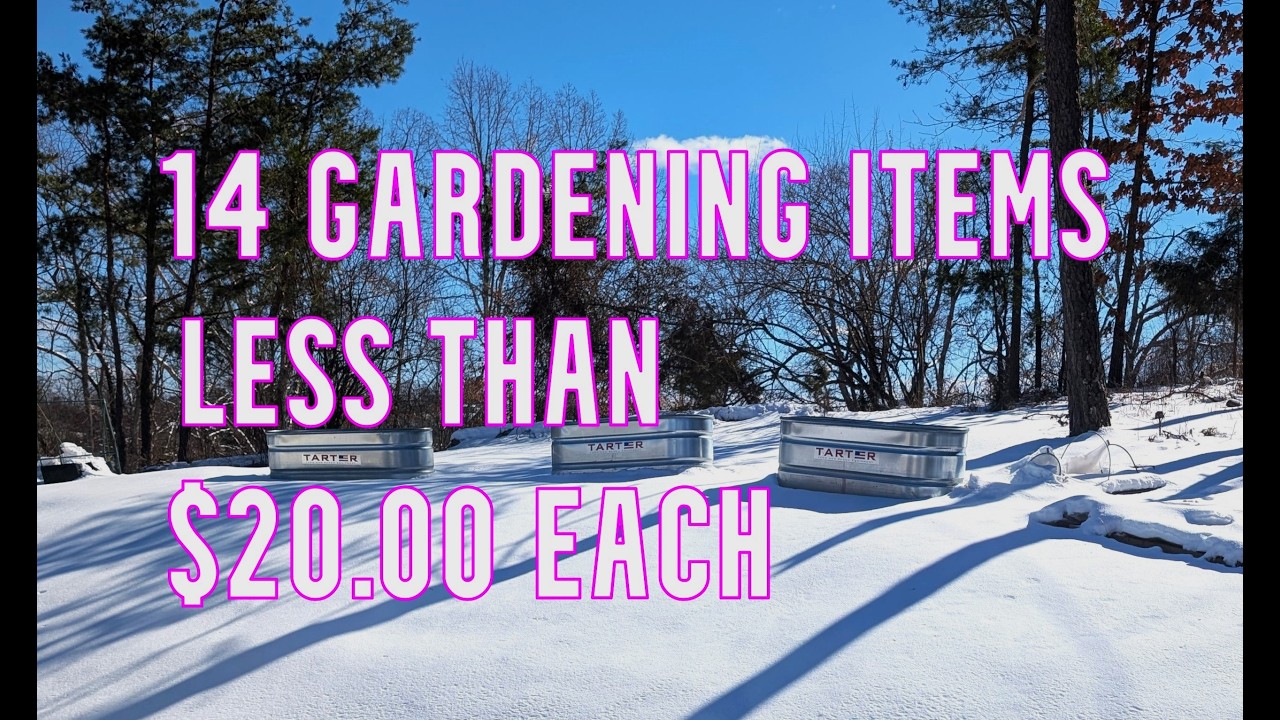 Fourteen budget friendly gardening must haves 