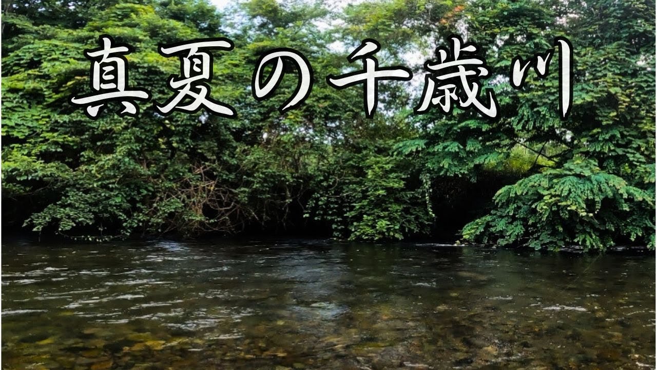 千歳川を延べ竿で釣り下り［北海道］［渓流釣り］