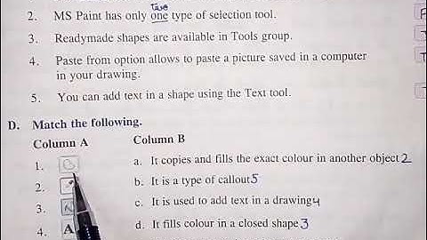 Fun With Paint || Class - 3 || Ch - 5 || Question/ Answers And Back Exercises 👍