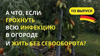видео: Дача в Германии Грядки без севооборота? А болезни, вредители? Все сожрут, а что не успеют, то сгниет картинка: Дача в Германии Грядки без севооборота? А болезни, вредители? Все сожрут, а что не успеют, то сгниет