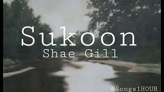 SUKOON ||  1 HOUR LOOP || SHAE GILL || SONGS1HOUR