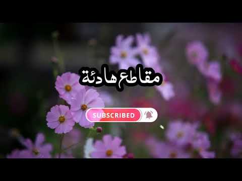 اطفأ المصباح نوره