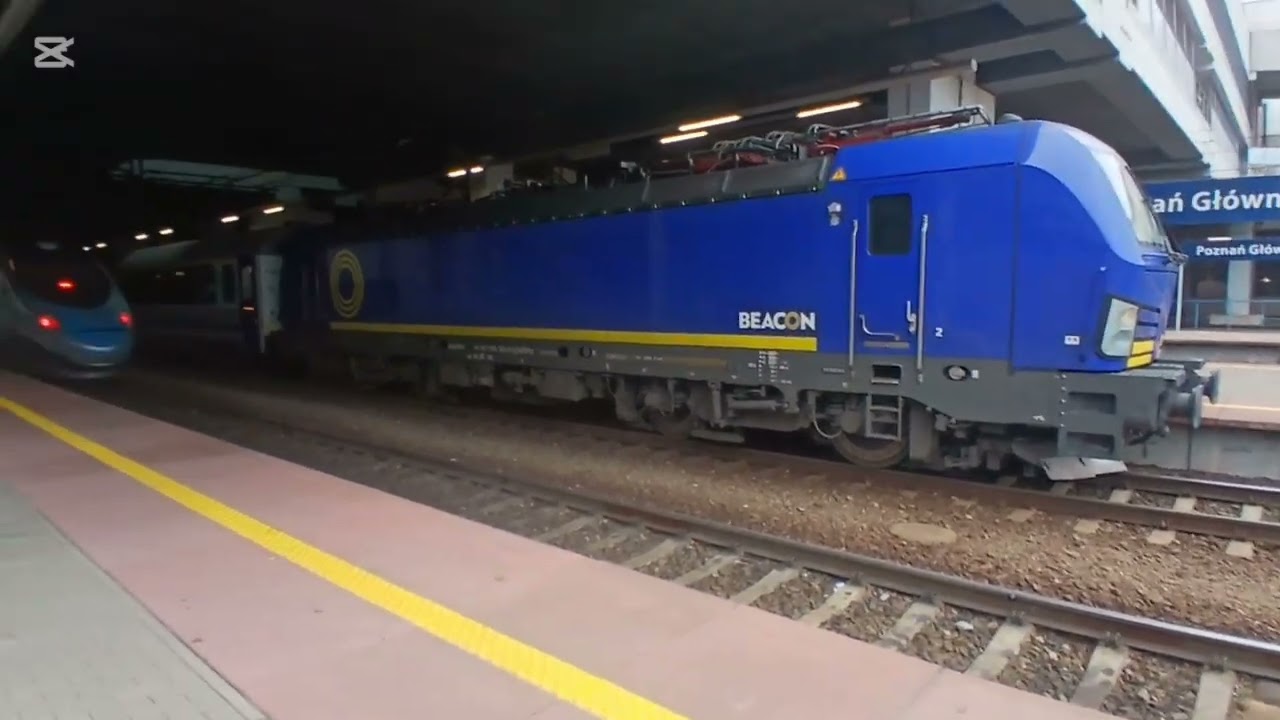 Pociągi na stacji Poznań Główny. 10.11.2025