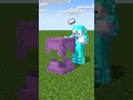 あなたのシュルカーボックスにもきっと彼らはいるハズです2。/ They must be on your Shulker Box too.【Minecraft Animation】 #minecraft