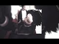 The Crazy In Your Eyes Lyrics 