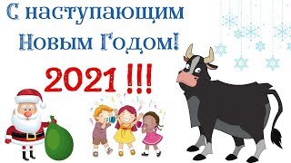 Поздравляю с наступающим Новым Годом 2021!🐈 канал RED KOT