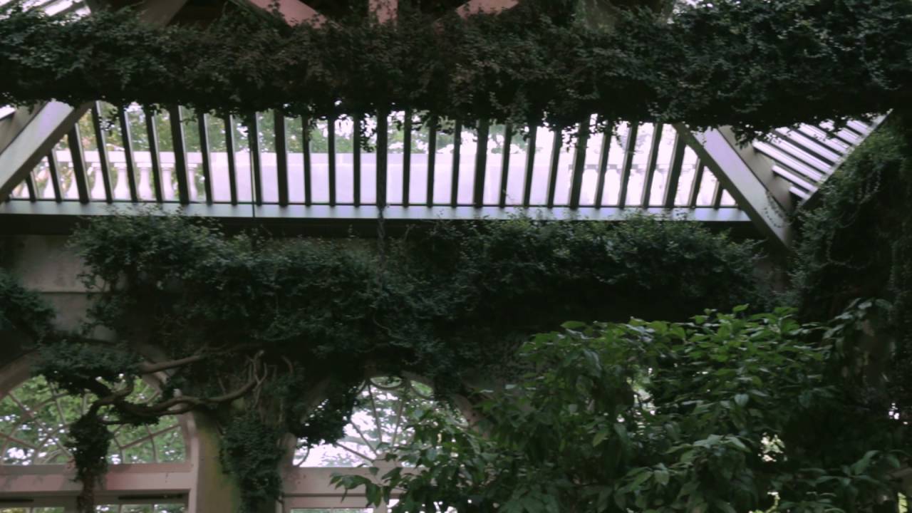 Dumbarton Oaks Gardens The Orangery Youtube