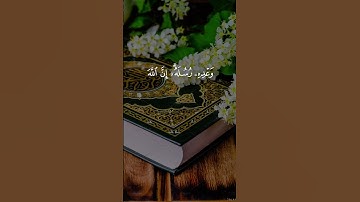 تلاوة خاشعة ومؤثرة من الذكر الحكيم نفعنا الله وإياكم بها #اكسبلور #المصحف #duet #الرحمن #دويتو