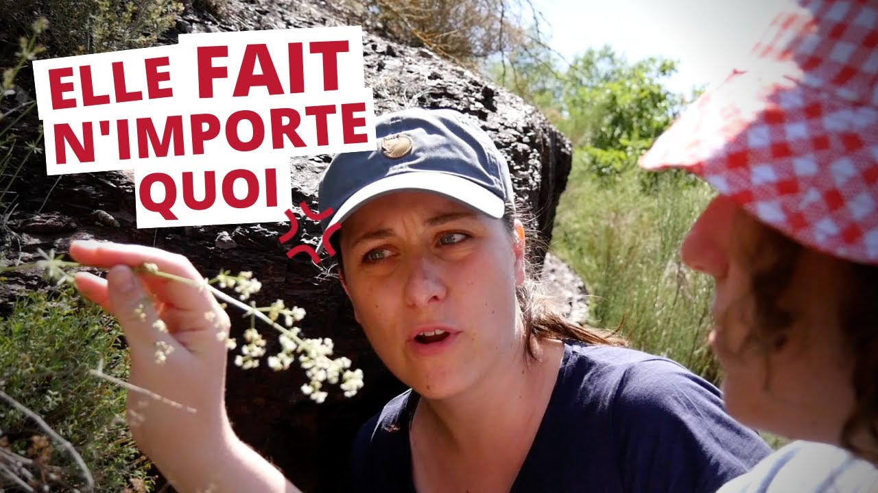 J'emmène @sciencedecomptoir dans la nature (je deviene fous)