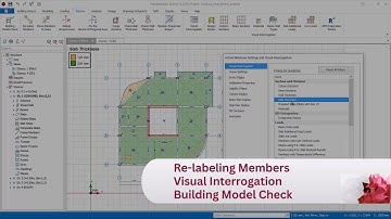 11 Relabel Members, Visual Interrogation, Review and Display Functions