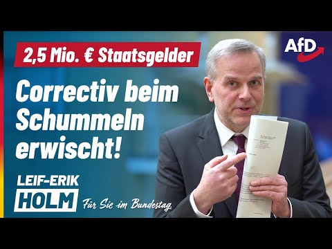 Dieser grüne Frosch wird kein Prinz mehr! | Leif-Erik Holm, MdB