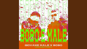 Download Bobo Male Mp3 Free And Mp4